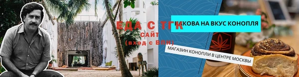 хмурый Новозыбков