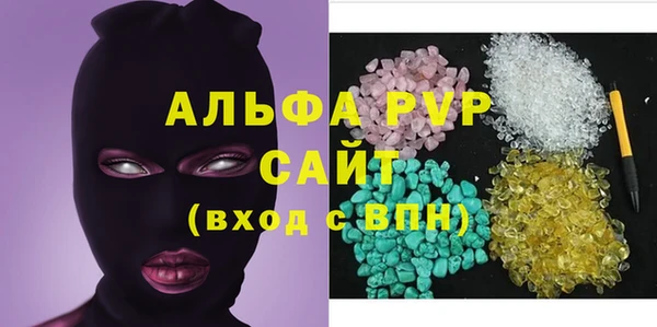 хмурый Новозыбков