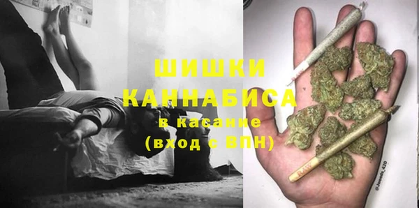 хмурый Новозыбков