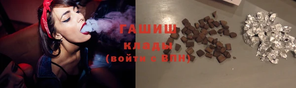 стафф Новодвинск