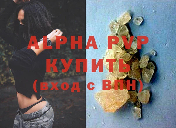 хмурый Новозыбков