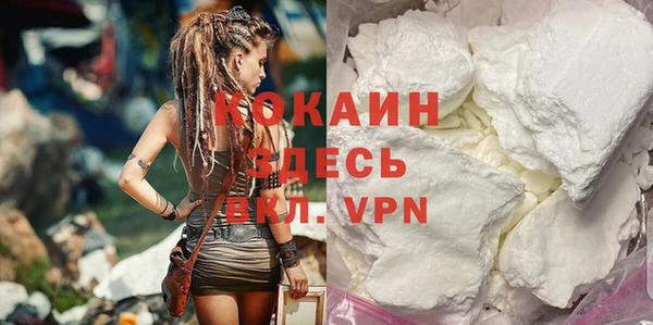 хмурый Новозыбков