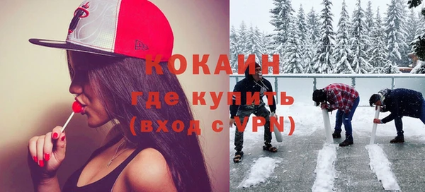 хмурый Новозыбков