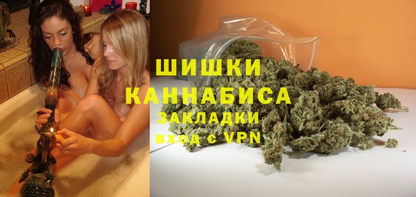 стафф Новодвинск