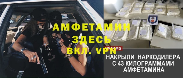 стафф Новодвинск