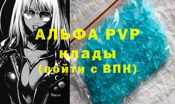 хмурый Новозыбков