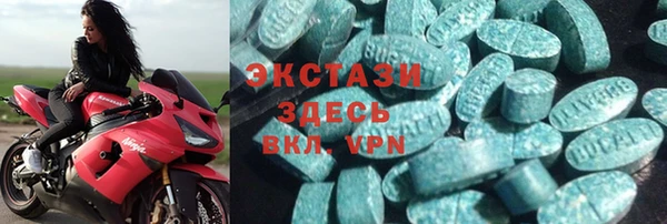 хмурый Новозыбков