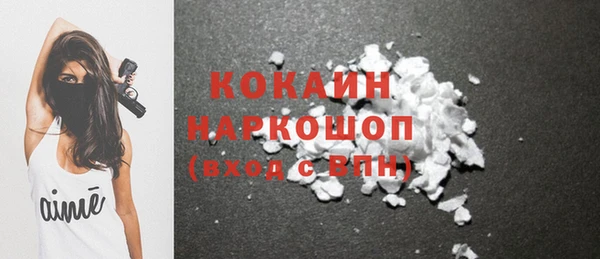 стафф Новодвинск