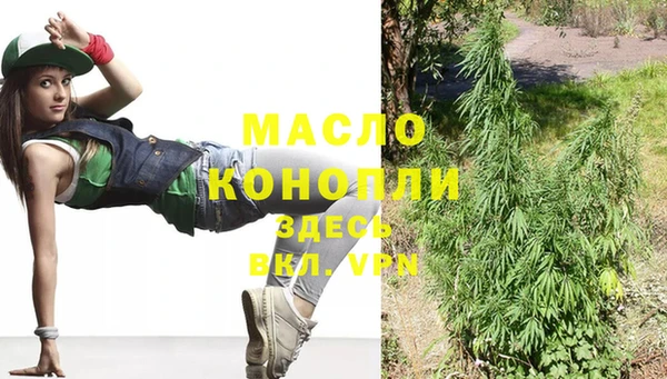хмурый Новозыбков