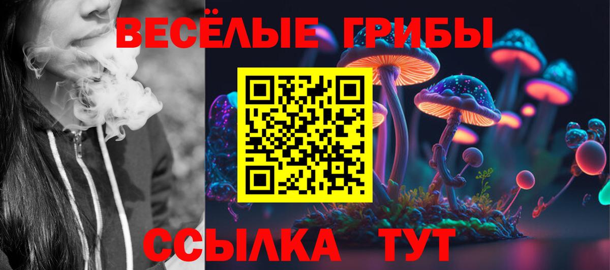 Псилоцибиновые грибы MAGIC MUSHROOMS Челябинск