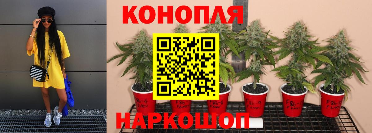 Бошки Шишки индика  Каннабис Bruce Banner  Челябинск  Шишки марихуана THC 21%  Вход с VPN  Шишки марихуана конопля 
